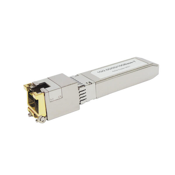 SFP+ 10G-T